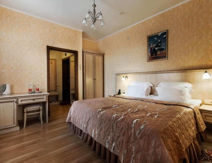 Стандарт 1-местный - Санаторий «Славяновский исток» Железноводск